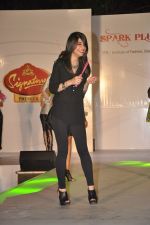 at ITM institute_s  Spark Plug Fashion show in Mumbai on 23rd Feb 2013 (86).JPG